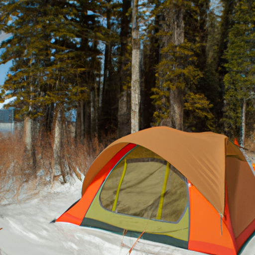 winter camping in summer tent