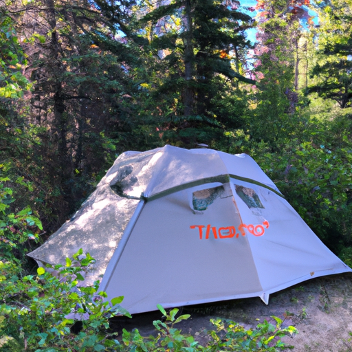 north face 4 person tent